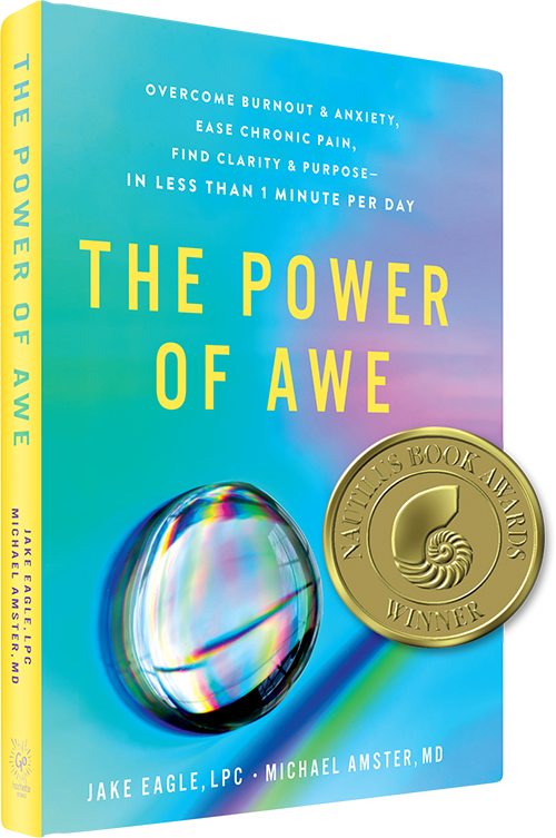 The Power of Awe Book